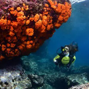 inmersion-marina-del-este-solo-botella | BUCEO Aqualia La Herradura Inmersión en Marina del Este