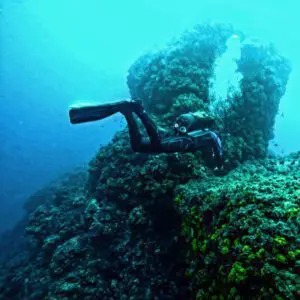 | BUCEO Aqualia La Herradura Curso advanced buceo la herradura
