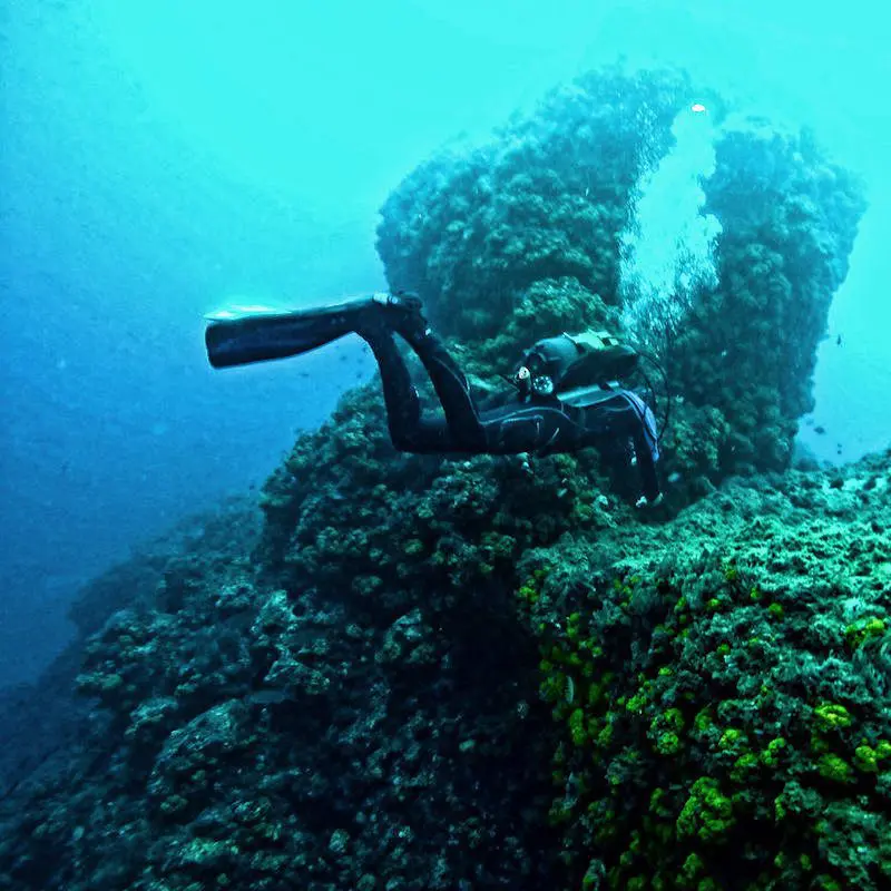 | BUCEO Aqualia La Herradura Curso advanced buceo la herradura