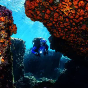 marina-del-este-equipo-pesado | BUCEO Aqualia La Herradura Inmersión marina del este con equipo pesado