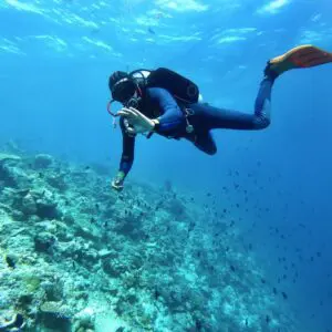 | BUCEO Aqualia La Herradura Inmersiones en barco en La Herradura