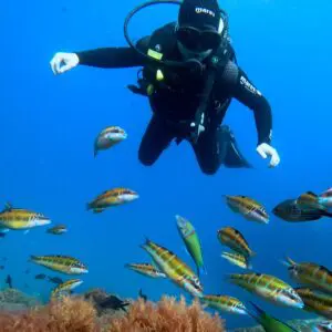 | BUCEO Aqualia La Herradura Basic Diver en La Herradura