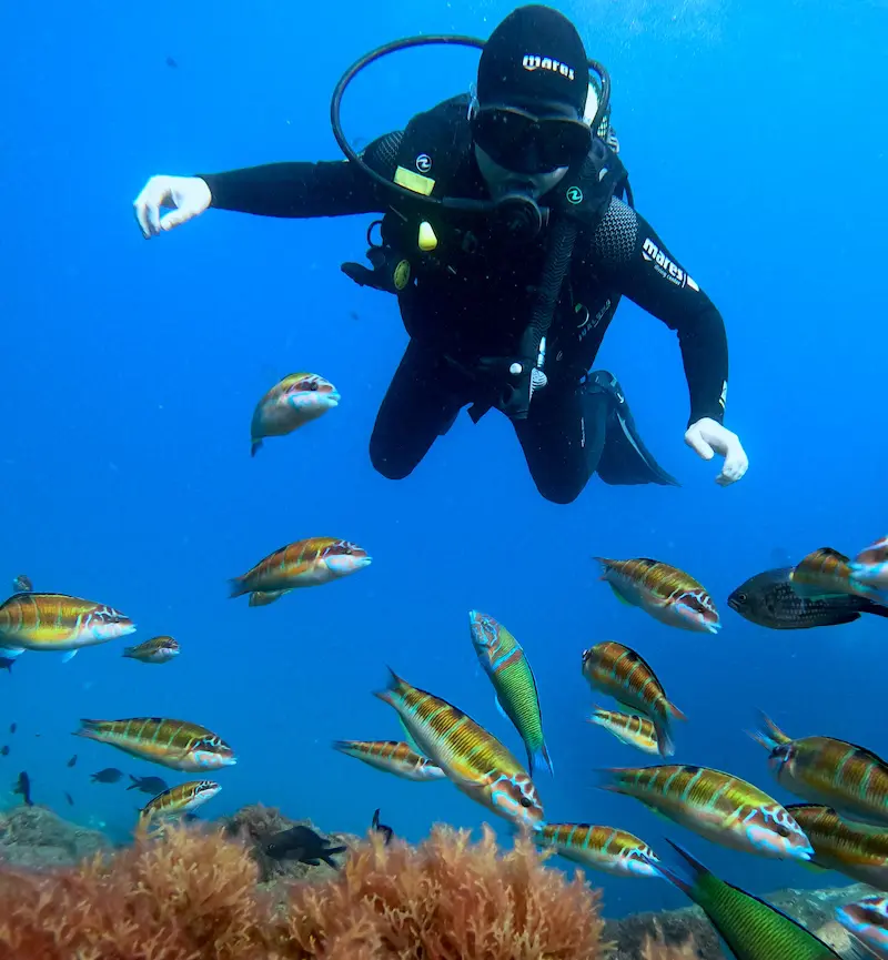 | BUCEO Aqualia La Herradura Basic Diver en La Herradura