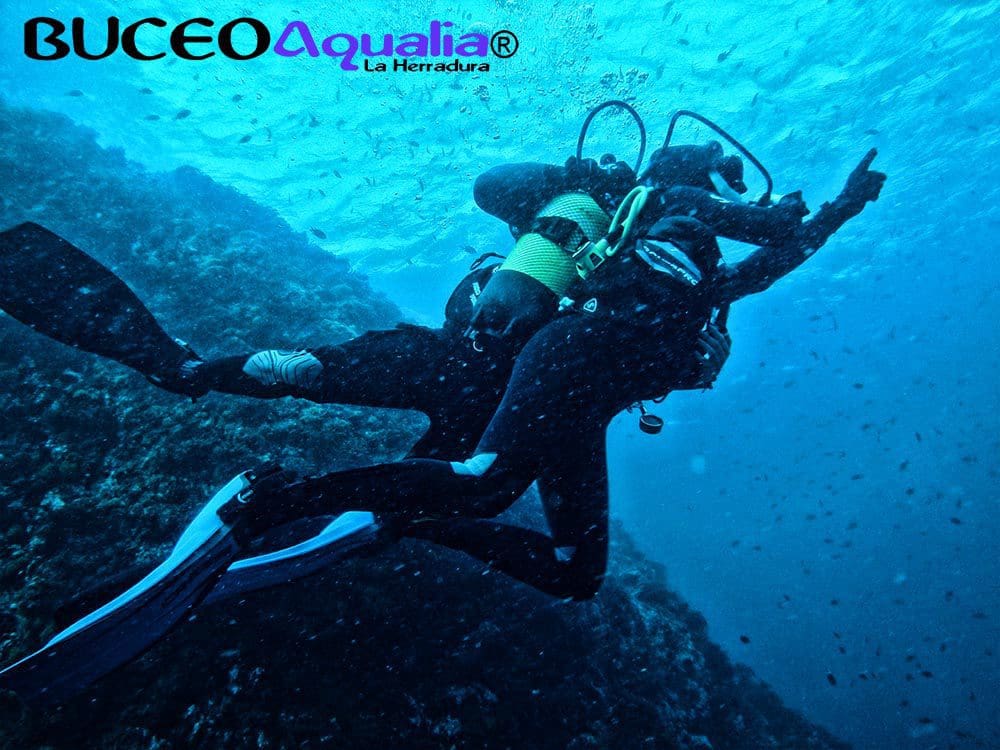 Bautismos de buceo en La Herradura