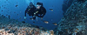 Curso Open Water La Herreadura