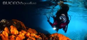 Curso buceo open water en la herradura