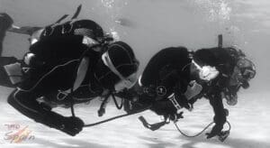 Cursos buceo la herradura