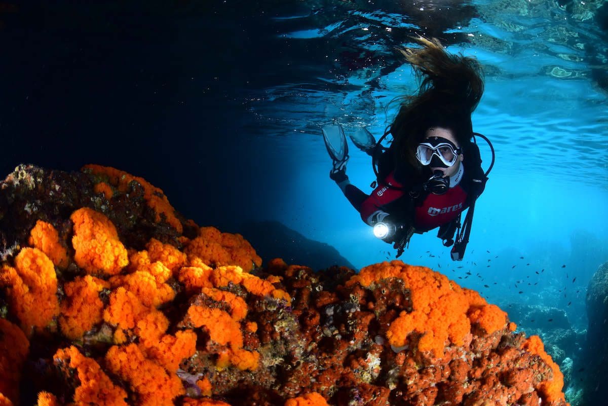 Cursos de buceo en La Herradura