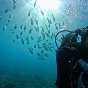Bautismos de buceo en La Herradura