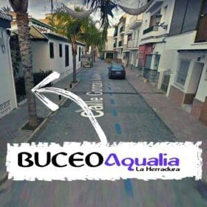 Buceo Aqualia La Herradura