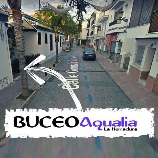 Buceo Aqualia La Herradura