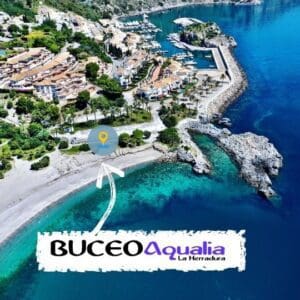 Buceo Aqualia - Marina del Este