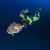 Especialidad de buceo profundo en La Herradura