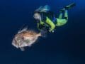 Especialidad de buceo profundo en La Herradura