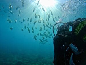 Bautismo de buceo en La Herradura