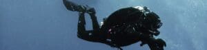 Cursos buceo la herradura